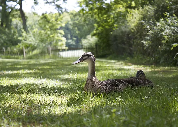 بيت للعطل Ostehof
